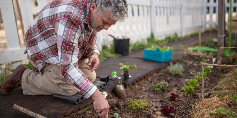 Man in geruit overhemd knielt in de moestuin om te planten, met tuingereedschap naast zich